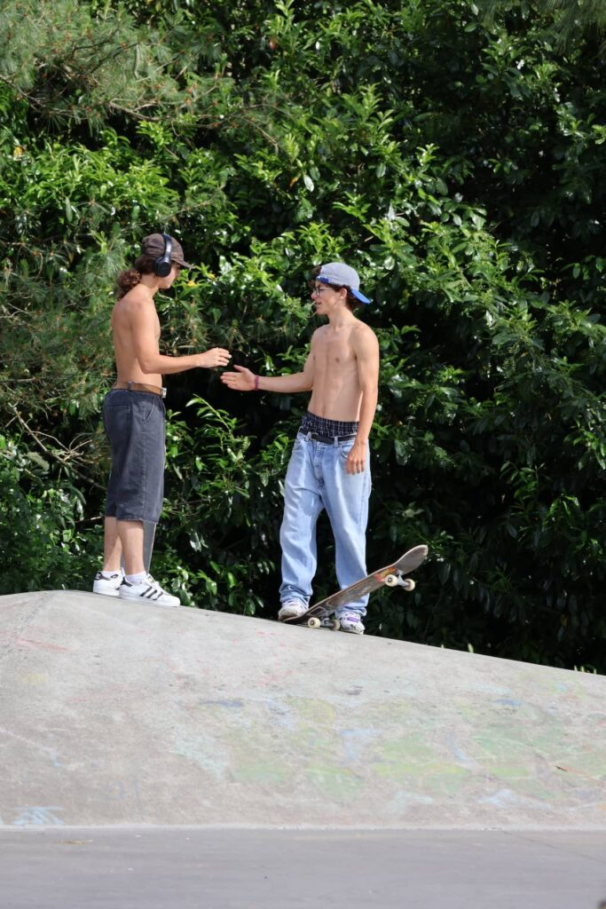 skatepark de cholet