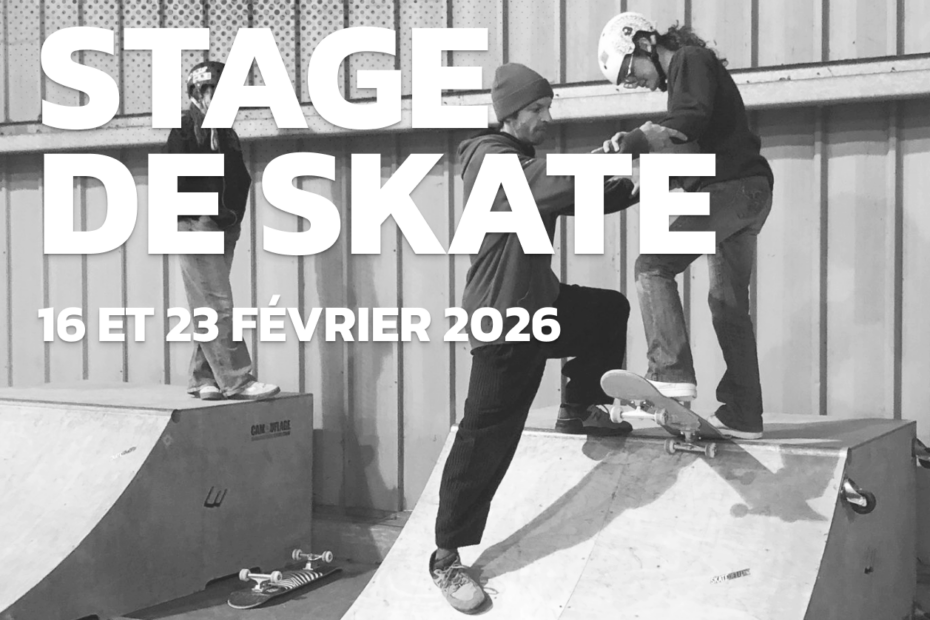 stage skate cholet