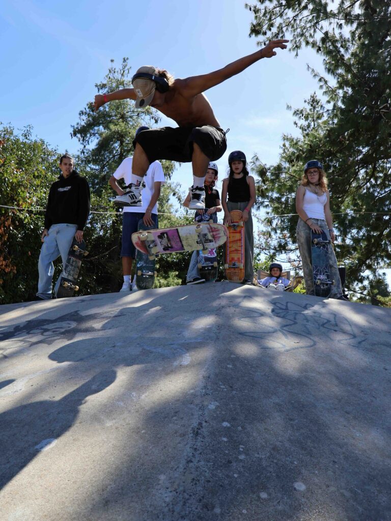 Heelflip - Marvin